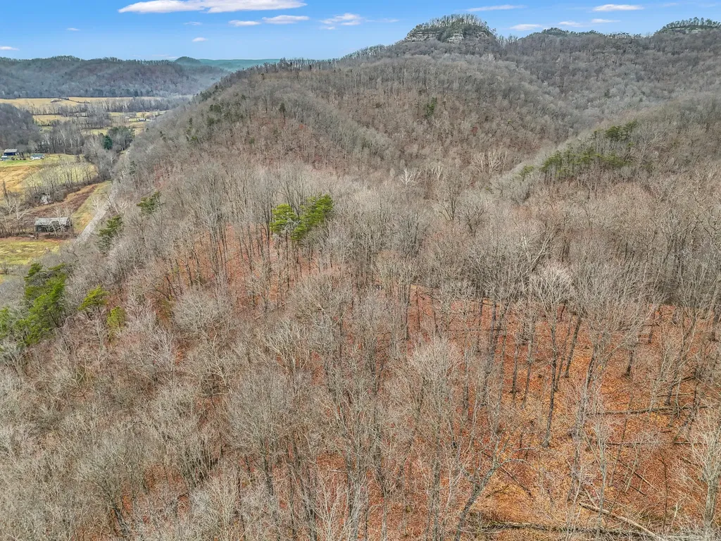 4558 Ky-36 Salt Lick KY 40371