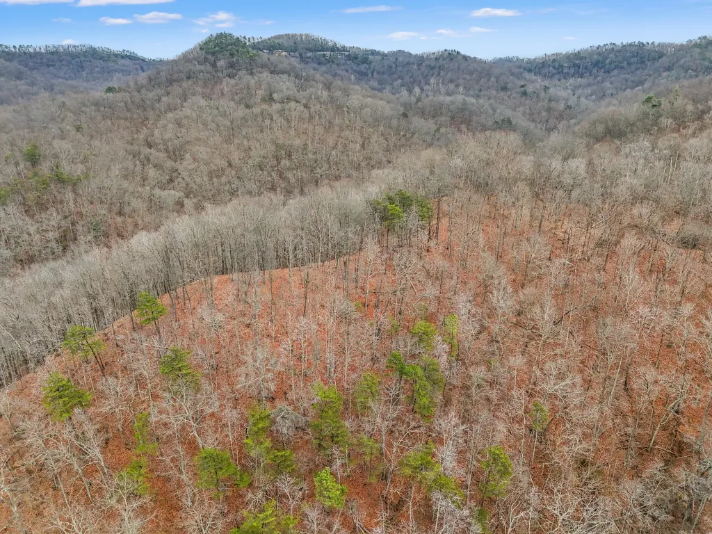 4558 Ky-36 Salt Lick KY 40371