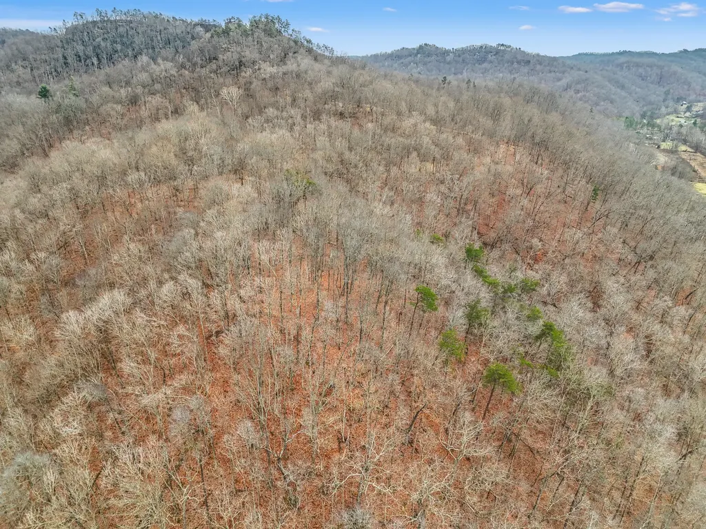 4558 Ky-36 Salt Lick KY 40371