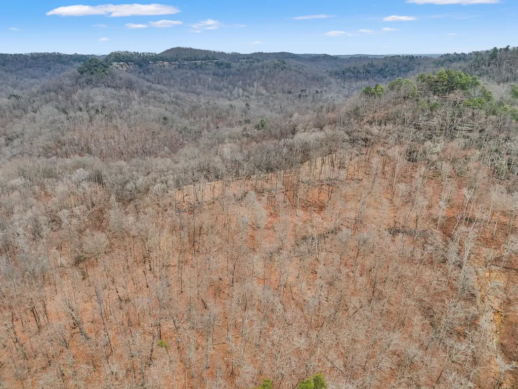 4558 Ky-36 Salt Lick KY 40371