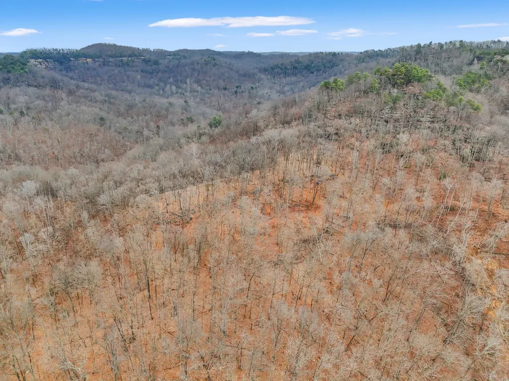 4558 Ky-36 Salt Lick KY 40371