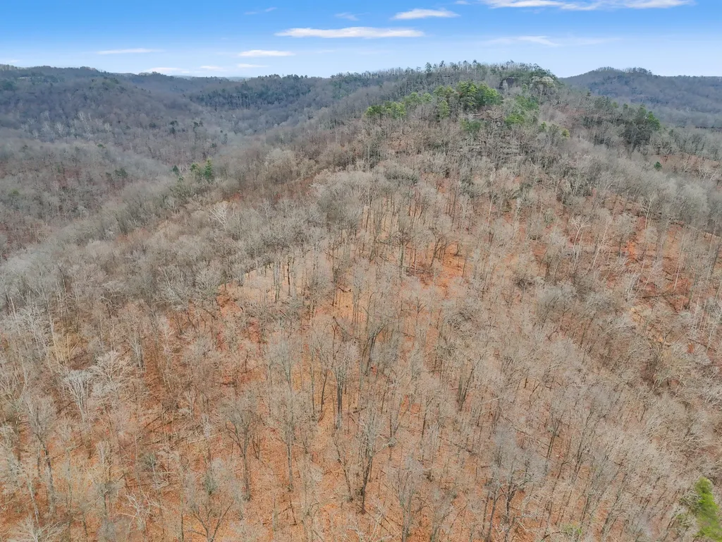 4558 Ky-36 Salt Lick KY 40371
