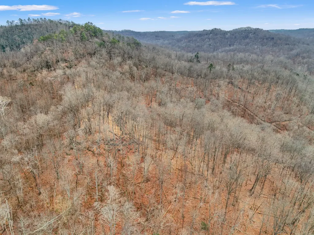 4558 Ky-36 Salt Lick KY 40371