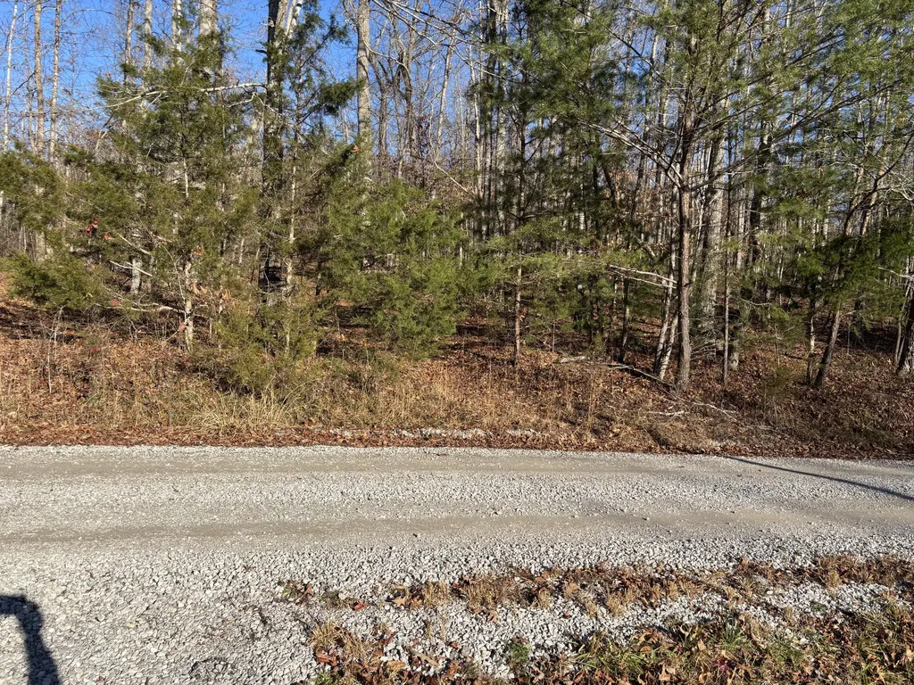 Lot 35 & Lot 36 Paradise Lake Drive Somerset KY 42503
