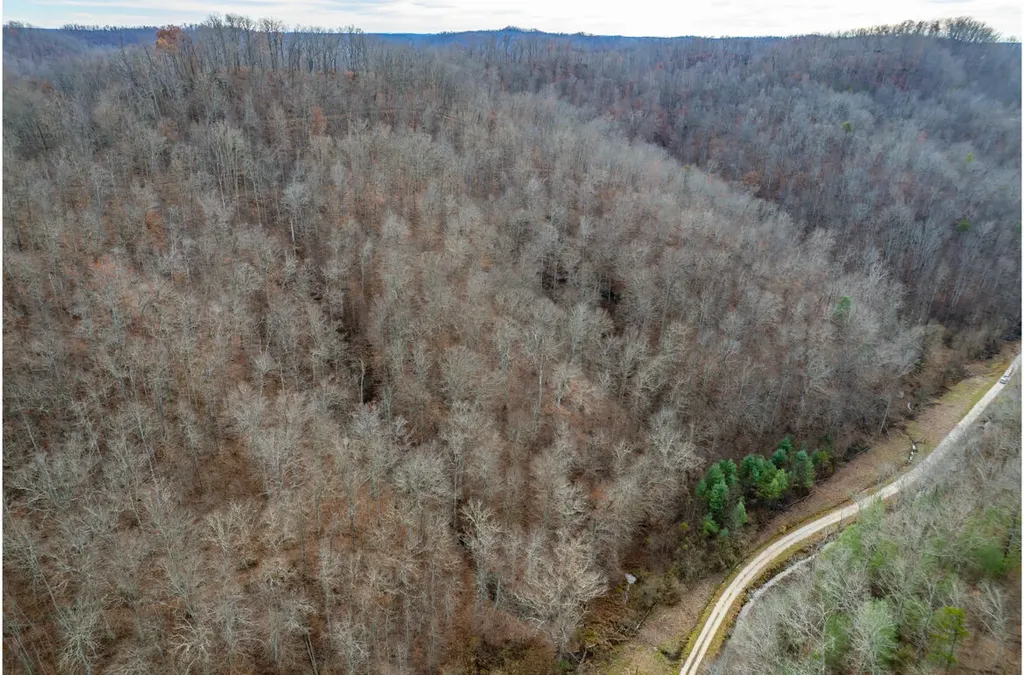 9999 Stable Branch Road Salyersville KY 41465
