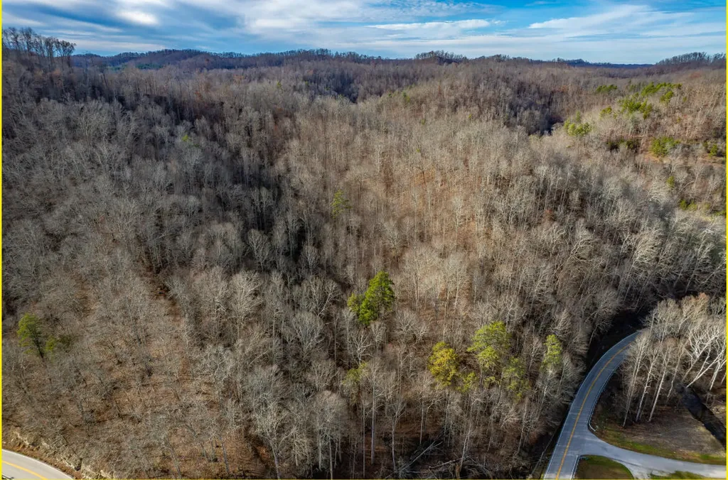 0 Board Tree Road Salyersville KY 41465