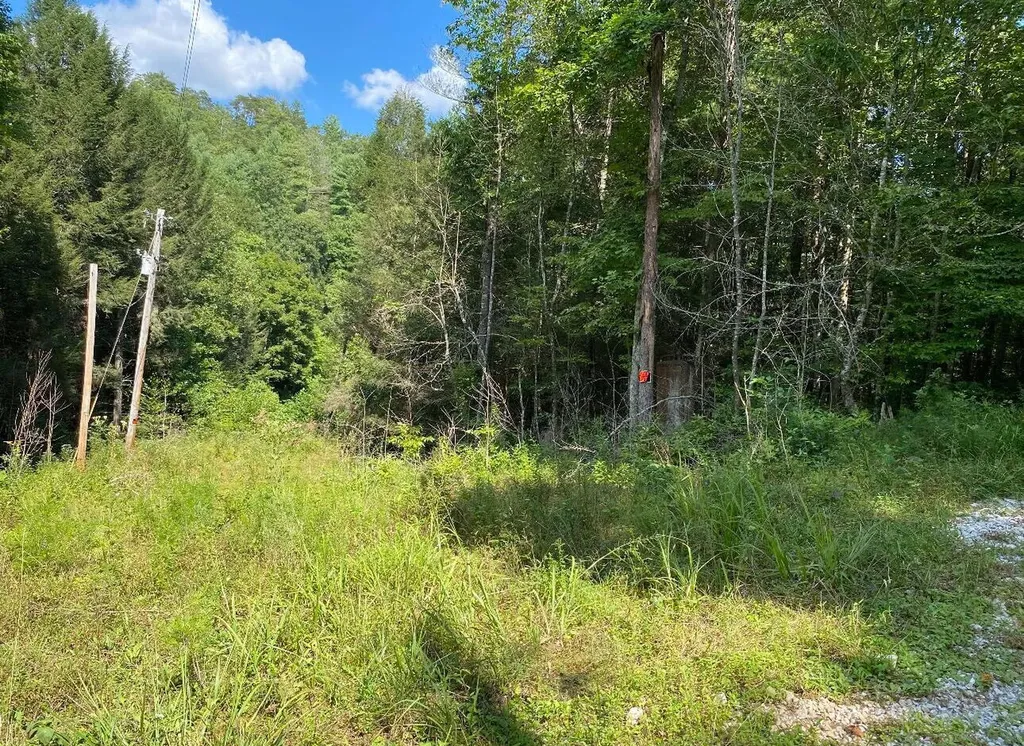 44 Indian Valley Retreat Zoe KY 41397