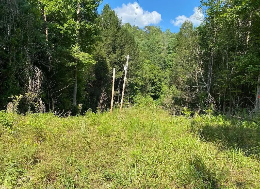 44 Indian Valley Retreat Zoe KY 41397