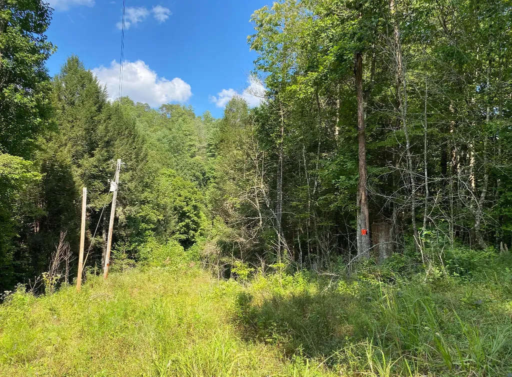 44 Indian Valley Retreat Zoe KY 41397