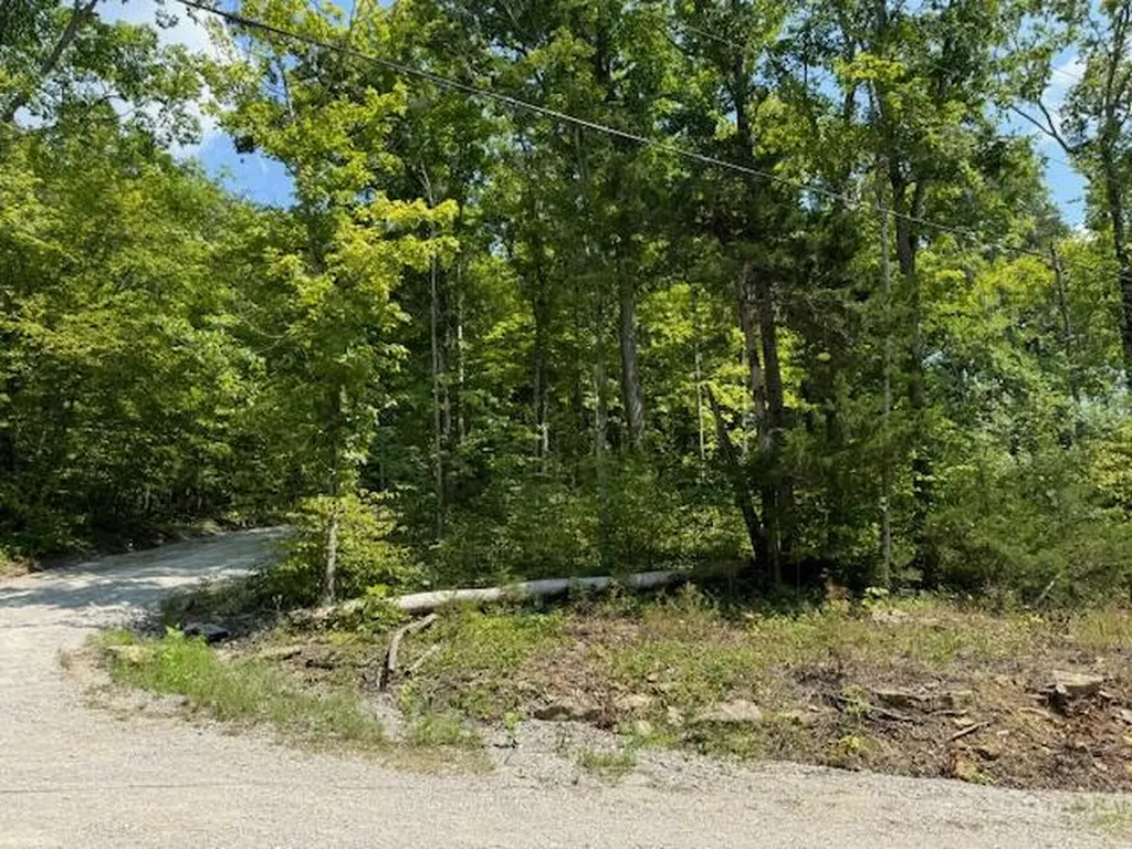 Lots 1-2-3-4 Dixie Bend Road Burnside KY 42519