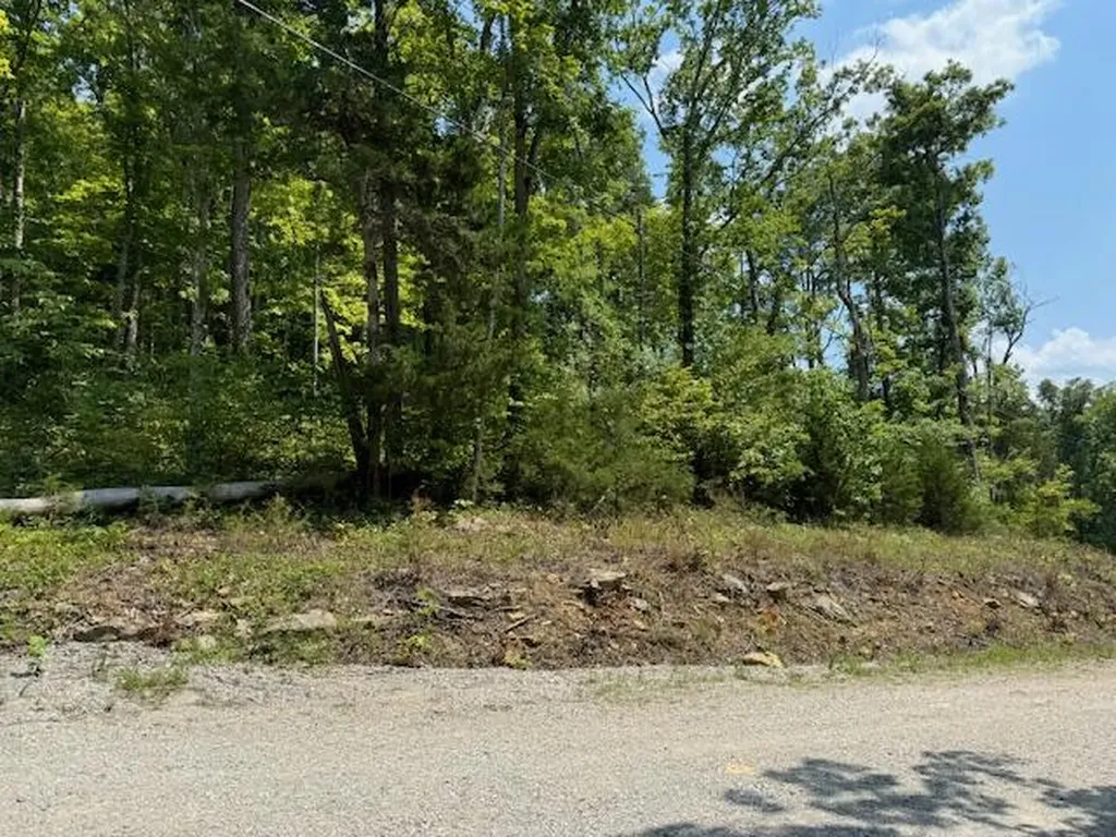 Lots 1-2-3-4 Dixie Bend Road Burnside KY 42519