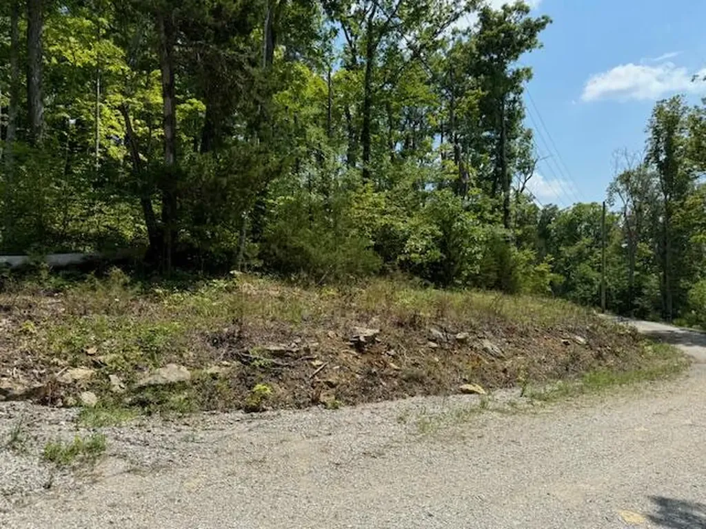 Lots 1-2-3-4 Dixie Bend Road Burnside KY 42519