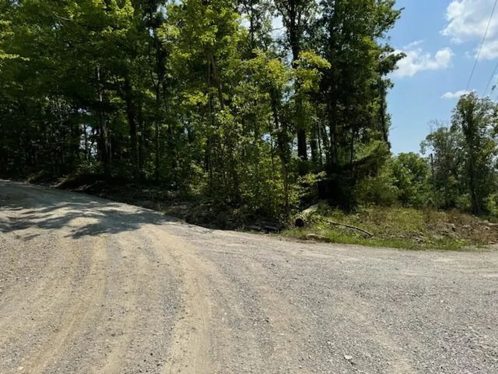 Lots 1-2-3-4 Dixie Bend Road Burnside KY 42519