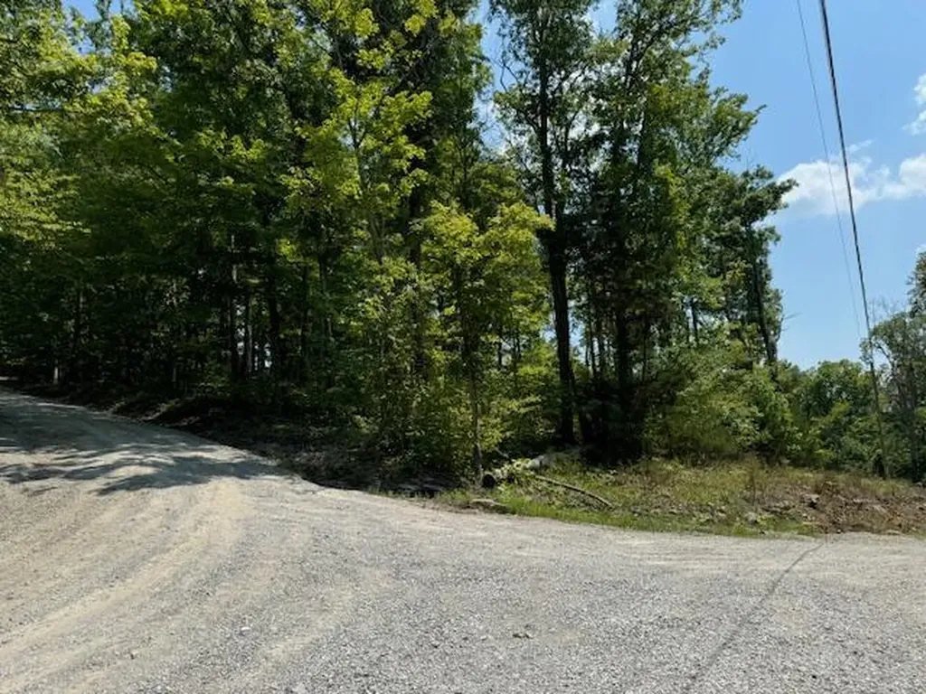 Lots 1-2-3-4 Dixie Bend Road Burnside KY 42519