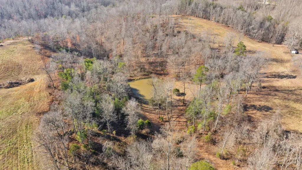 95 Mcfall Road Albany KY 42602