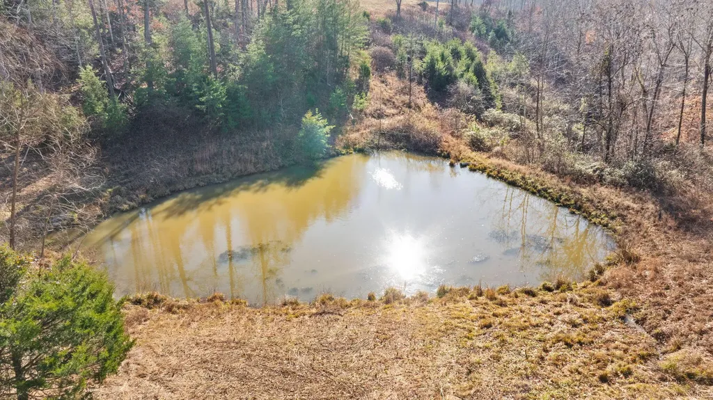 95 Mcfall Road Albany KY 42602