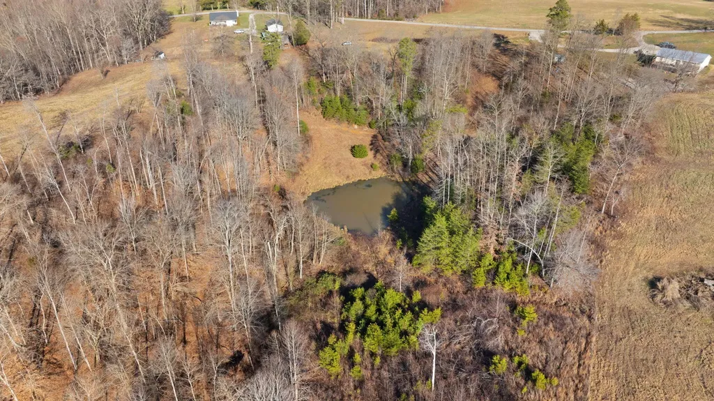 95 Mcfall Road Albany KY 42602