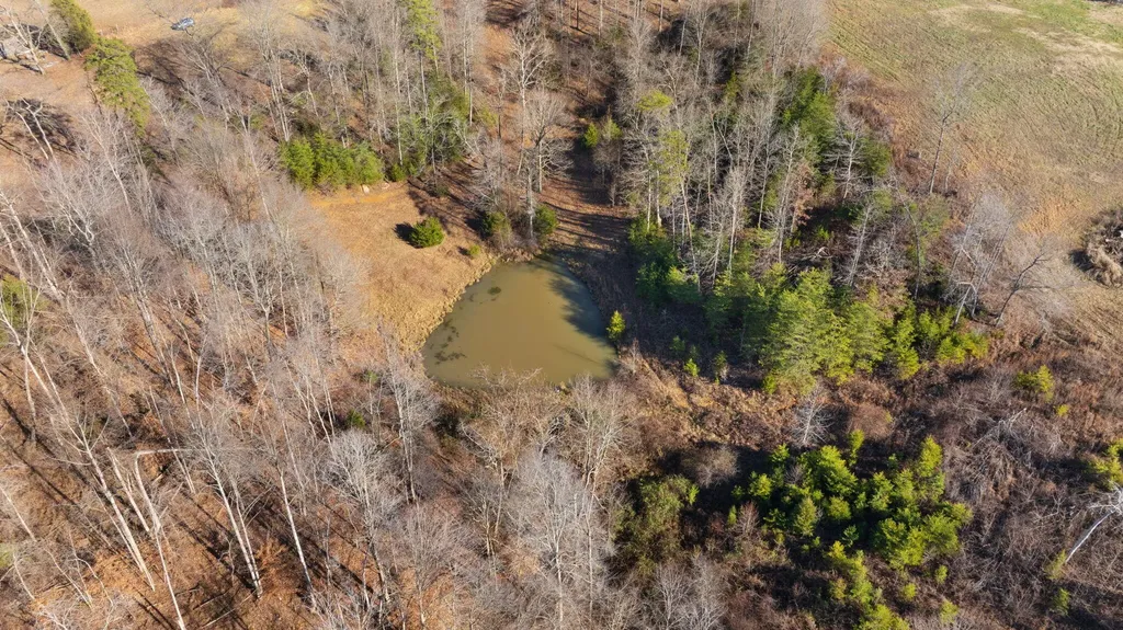95 Mcfall Road Albany KY 42602