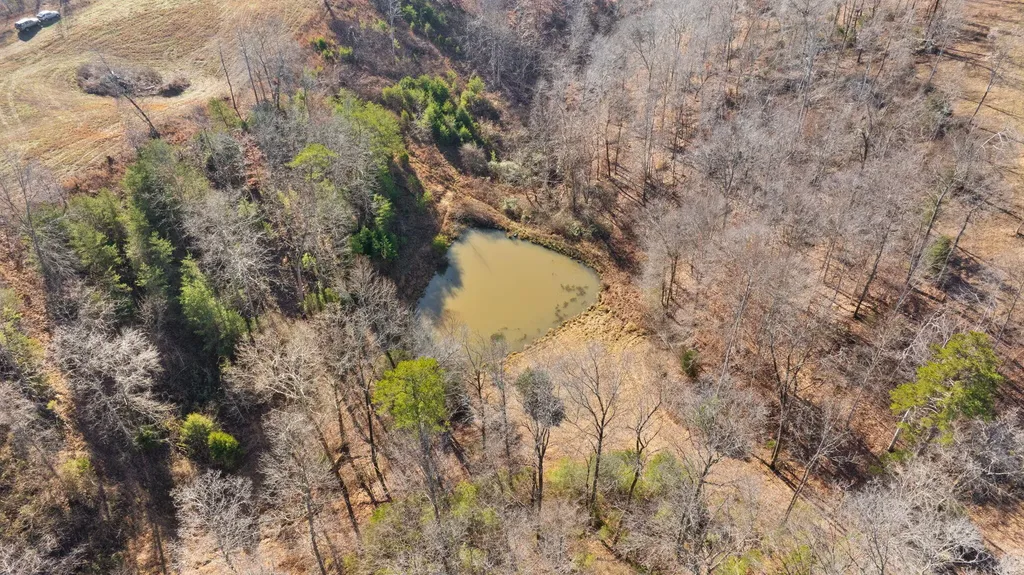 95 Mcfall Road Albany KY 42602