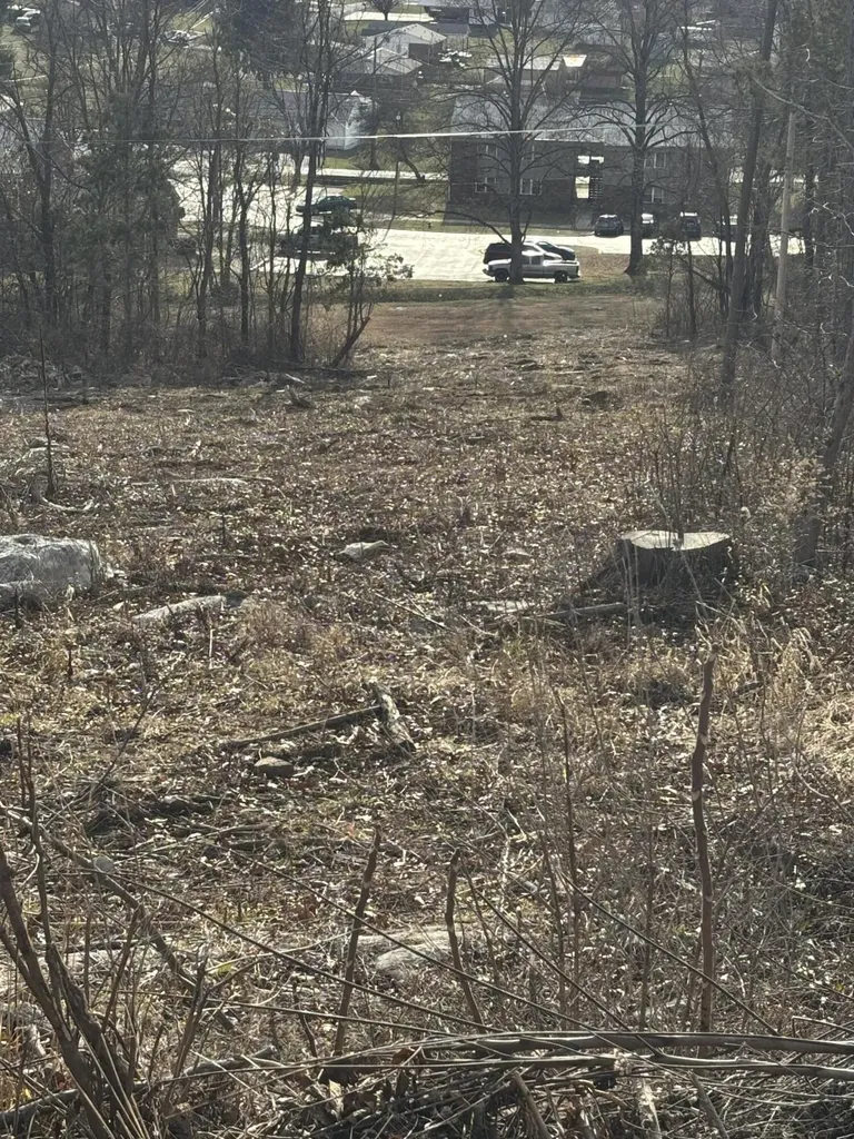 0 Woodland Place Road Mt Vernon KY 40456