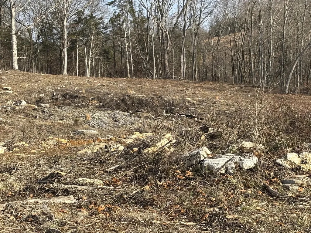 0 Woodland Place Road Mt Vernon KY 40456