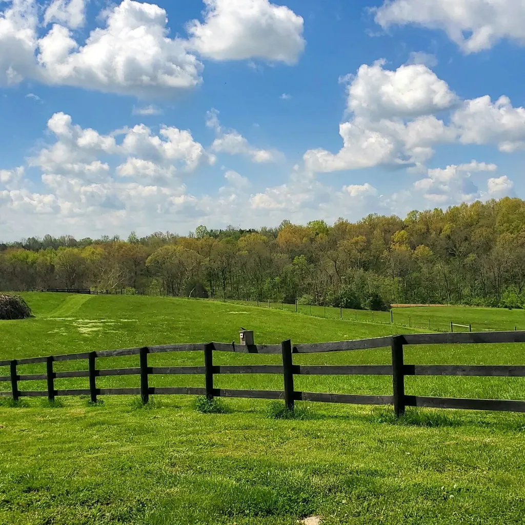 1023 General Cable Road Lawrenceburg KY 40342