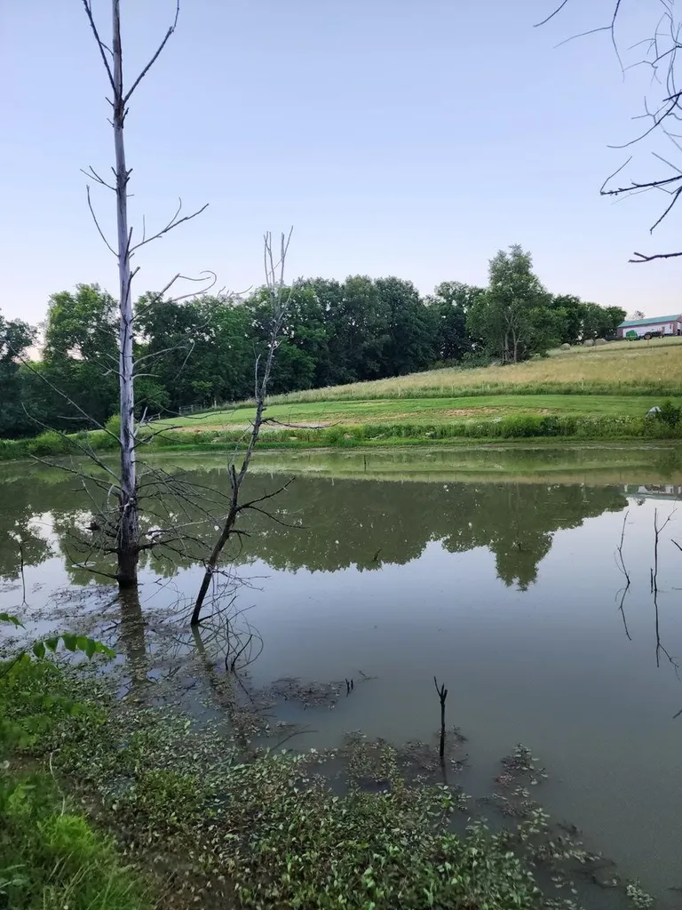 1023 General Cable Road Lawrenceburg KY 40342