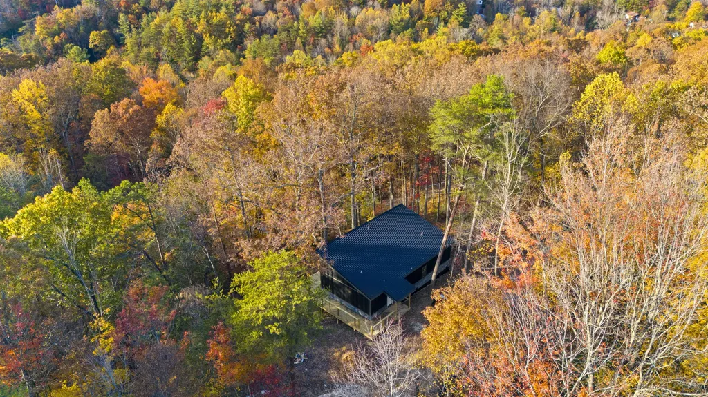 266 Blossom Way Zoe KY 41397