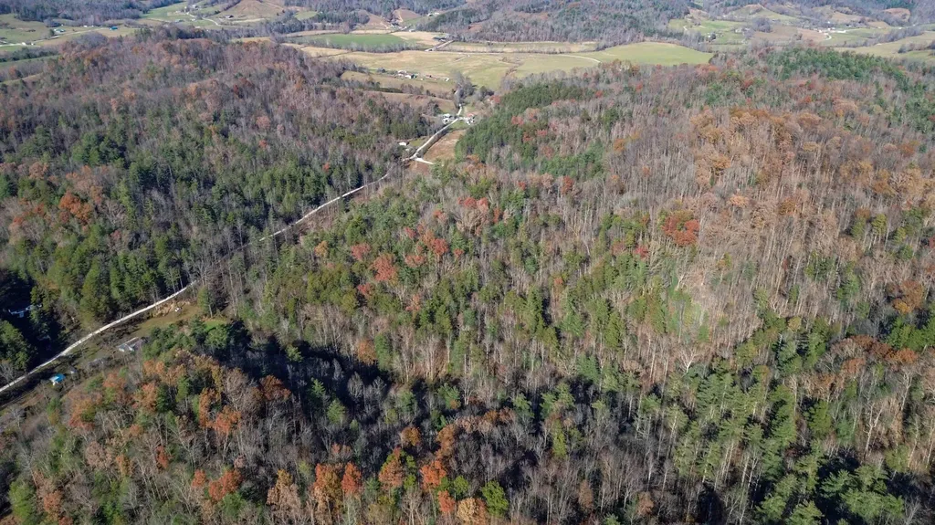 0 Clark Branch Road Hazel Green KY 41332
