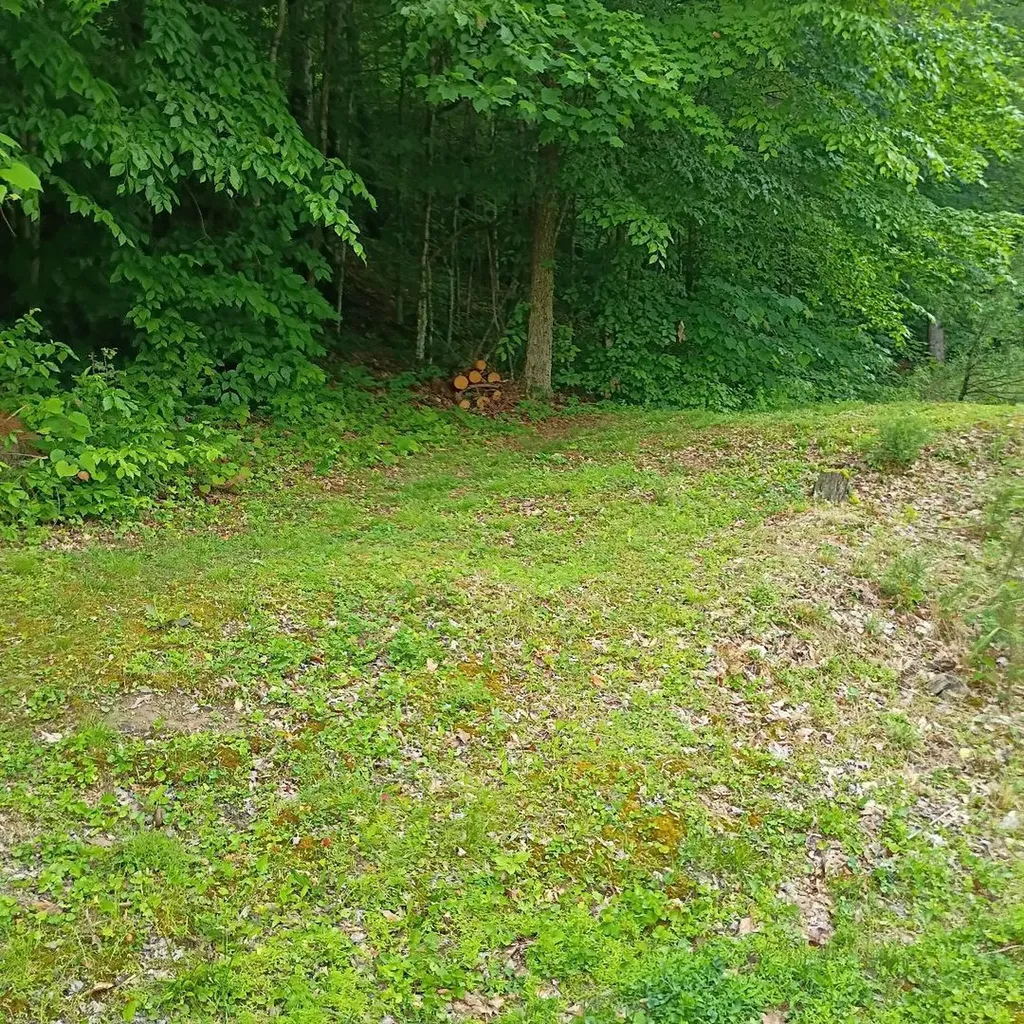 273 S Burke Road Monticello KY 42633