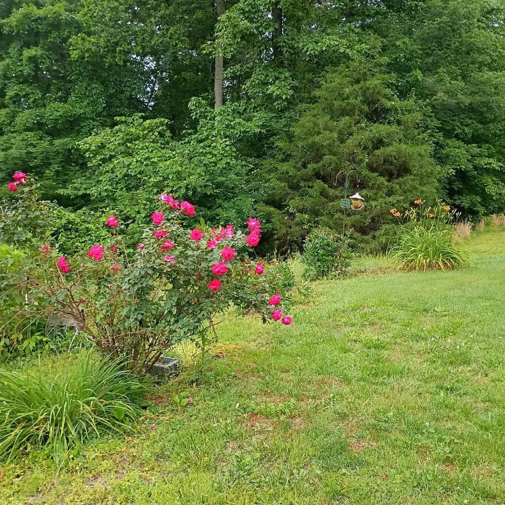 273 S Burke Road Monticello KY 42633