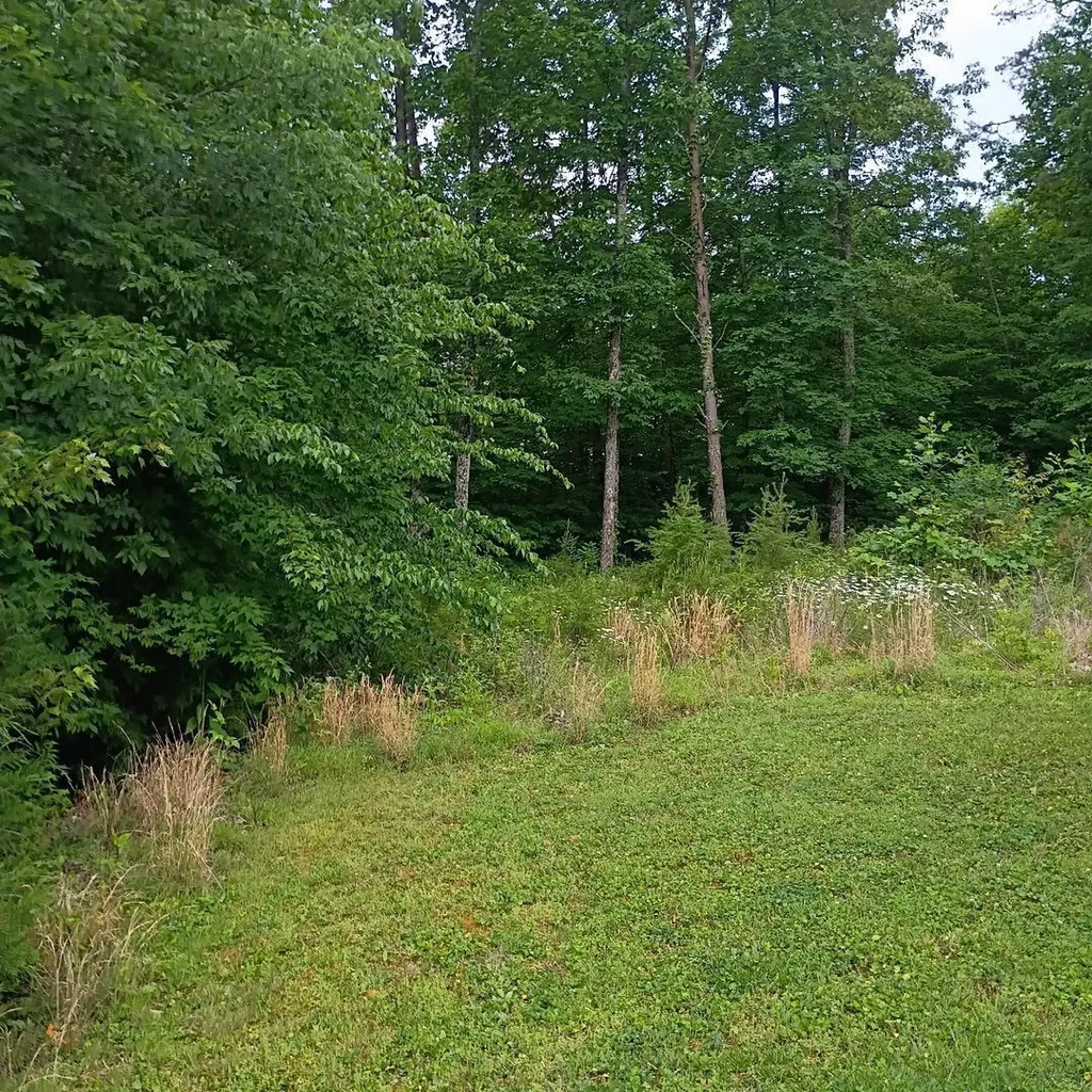 273 S Burke Road Monticello KY 42633