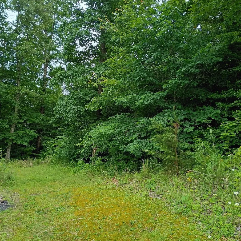 273 S Burke Road Monticello KY 42633