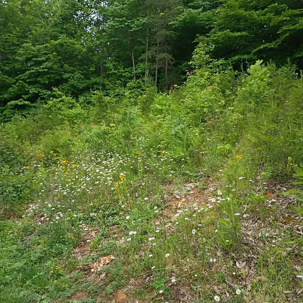 273 S Burke Road Monticello KY 42633
