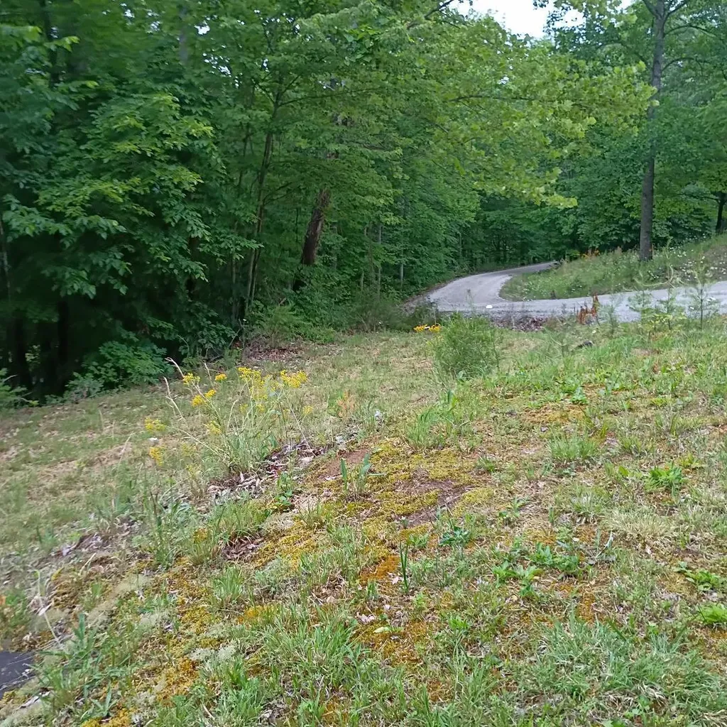 273 S Burke Road Monticello KY 42633