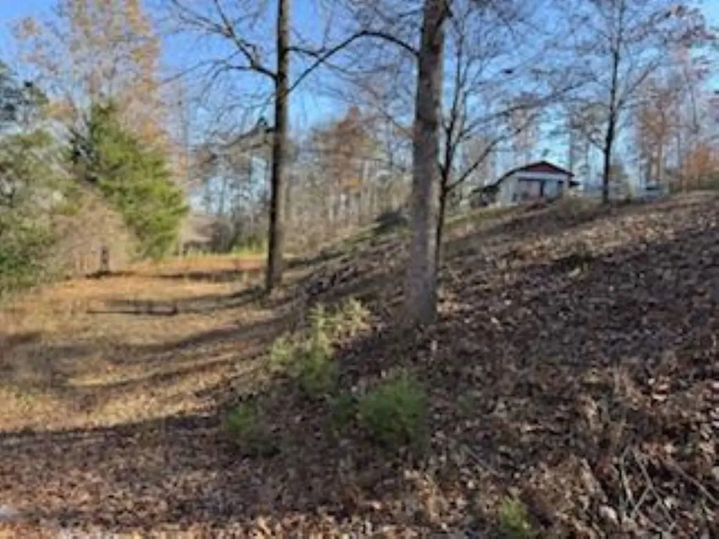273 S Burke Road Monticello KY 42633