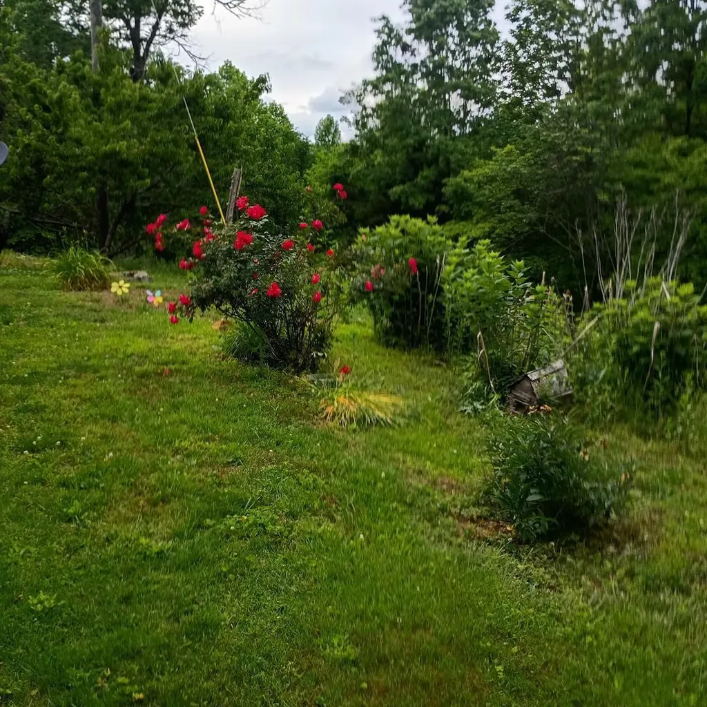 273 S Burke Road Monticello KY 42633