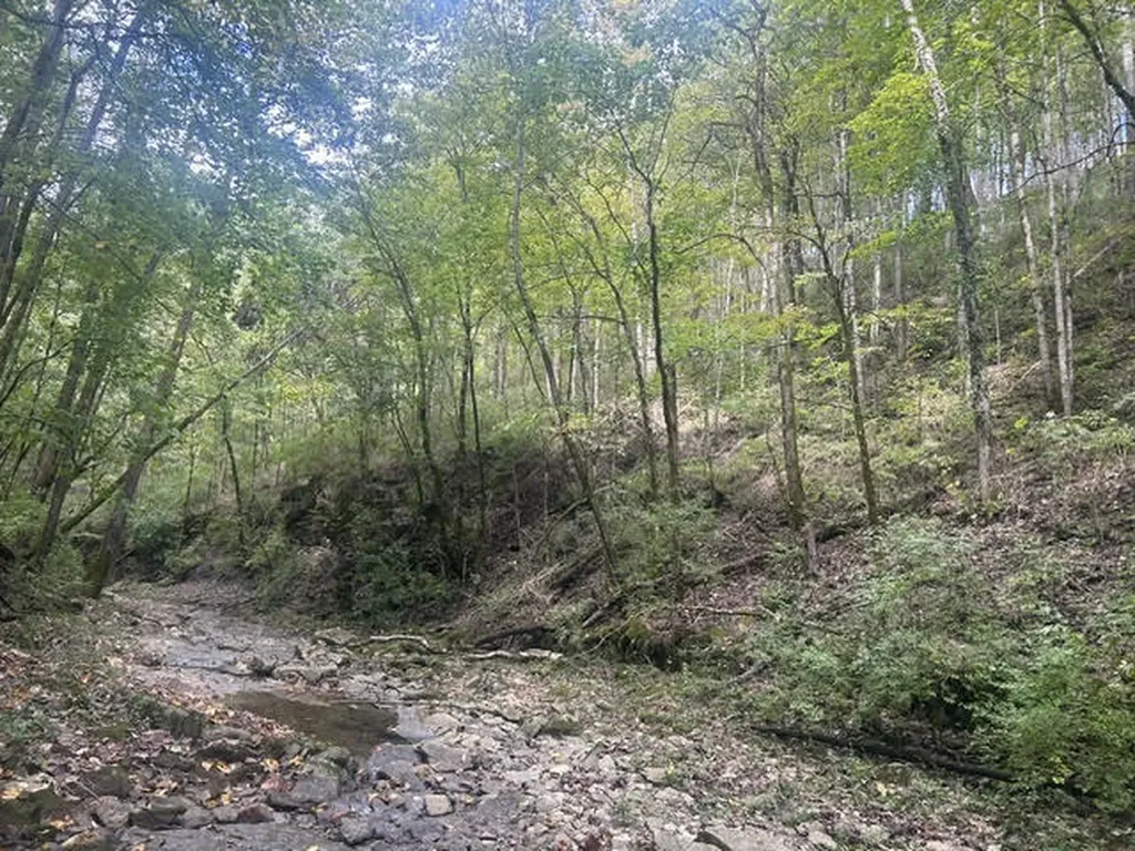544 Avawam Drive Richmond KY 40475