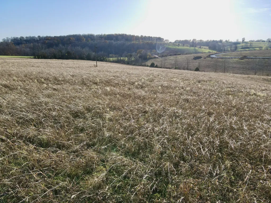 999 E Level Green Road Mt Vernon KY 40456