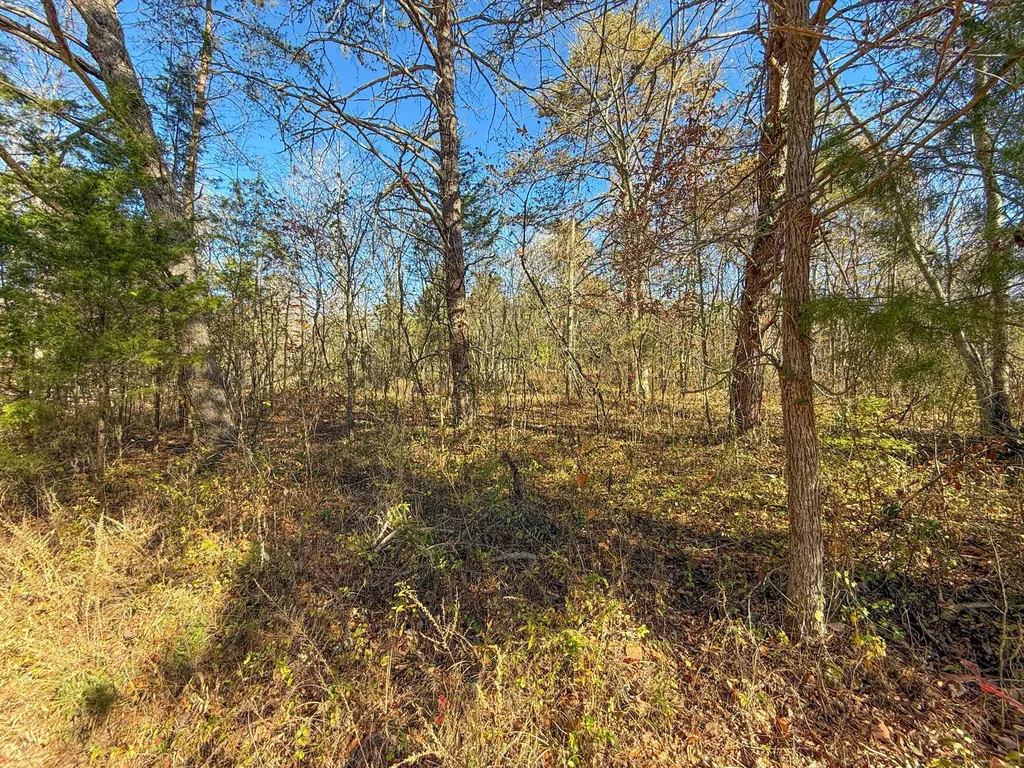 Lot 179 Genes Road Somerset KY 42501
