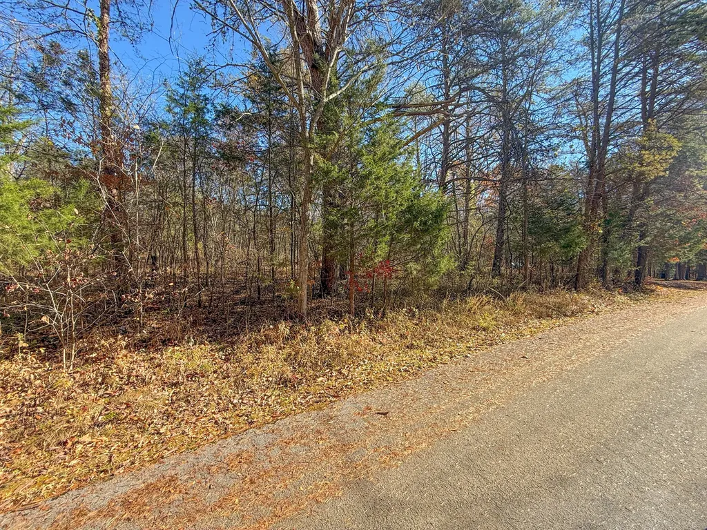 Lot 179 Genes Road Somerset KY 42501