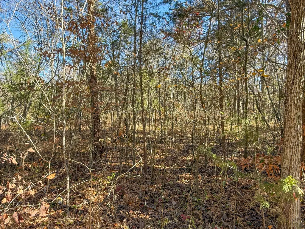 Lot 179 Genes Road Somerset KY 42501
