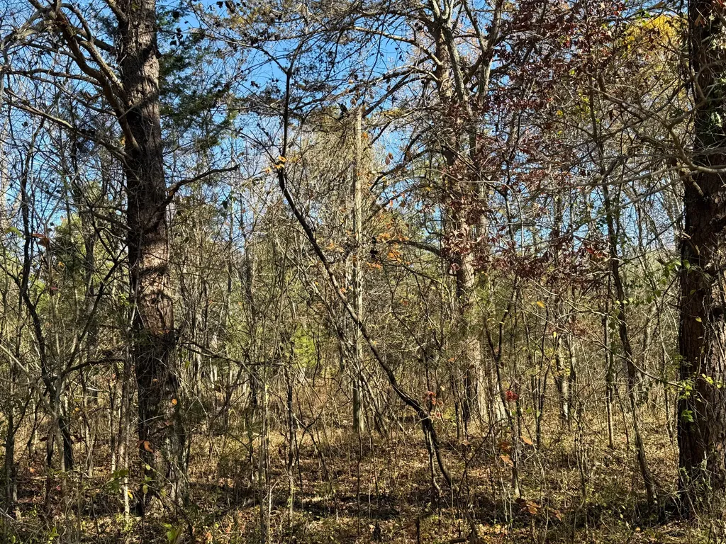 Lot 179 Genes Road Somerset KY 42501