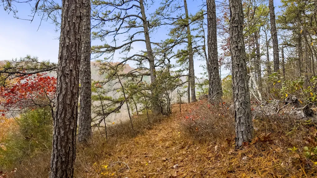 Lot 18 Sunrise Mountain Retreat Beattyville KY 41311