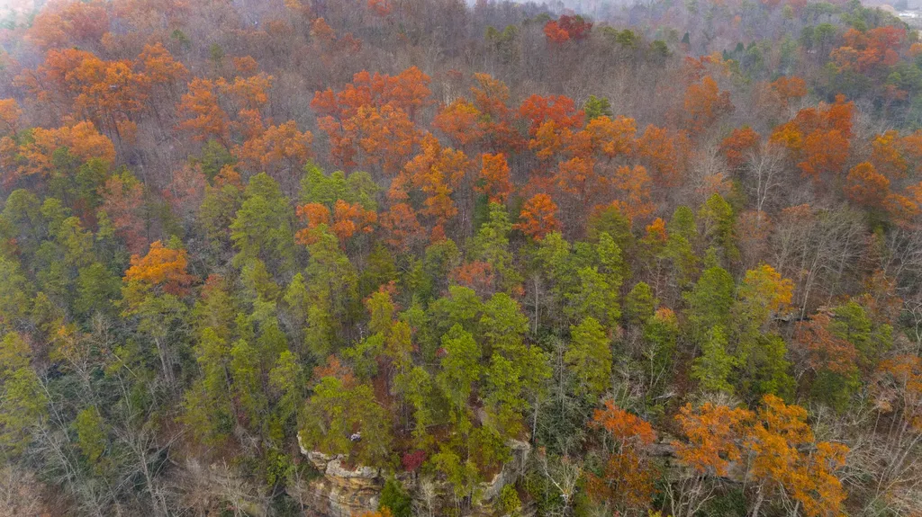 Lot 18 Sunrise Mountain Retreat Beattyville KY 41311