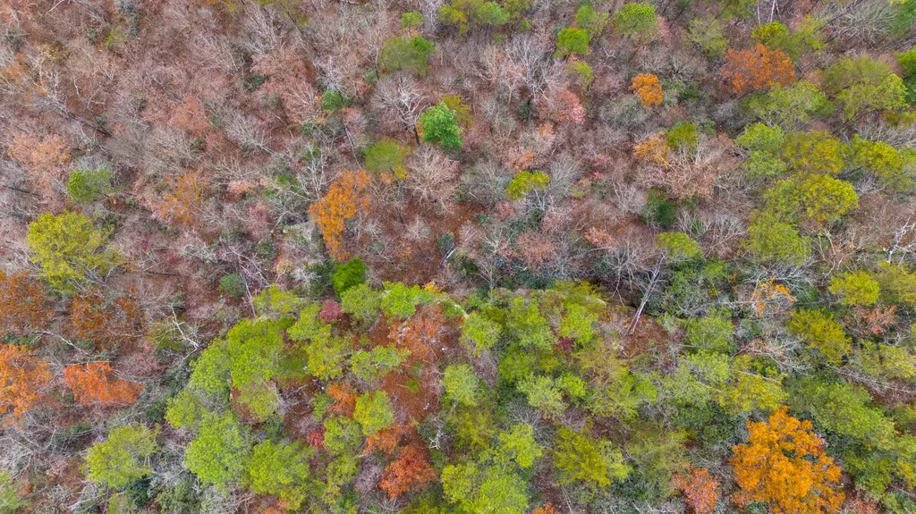 Lot 18 Sunrise Mountain Retreat Beattyville KY 41311