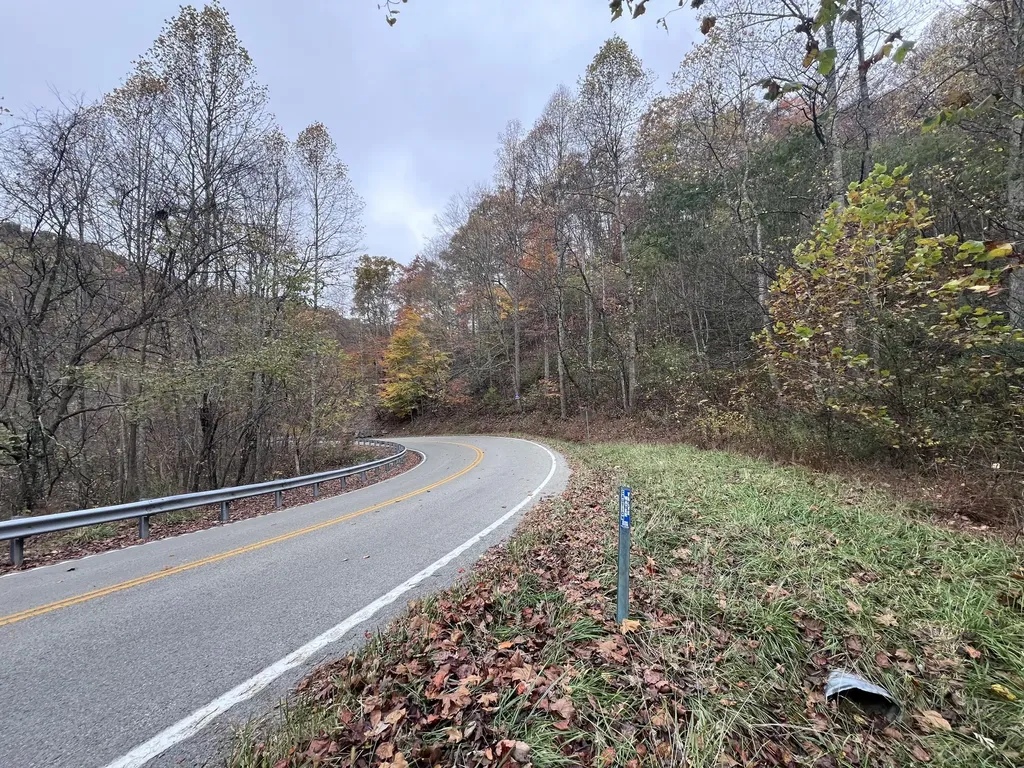 99999 Ky-317 Fleming-neon KY 41810