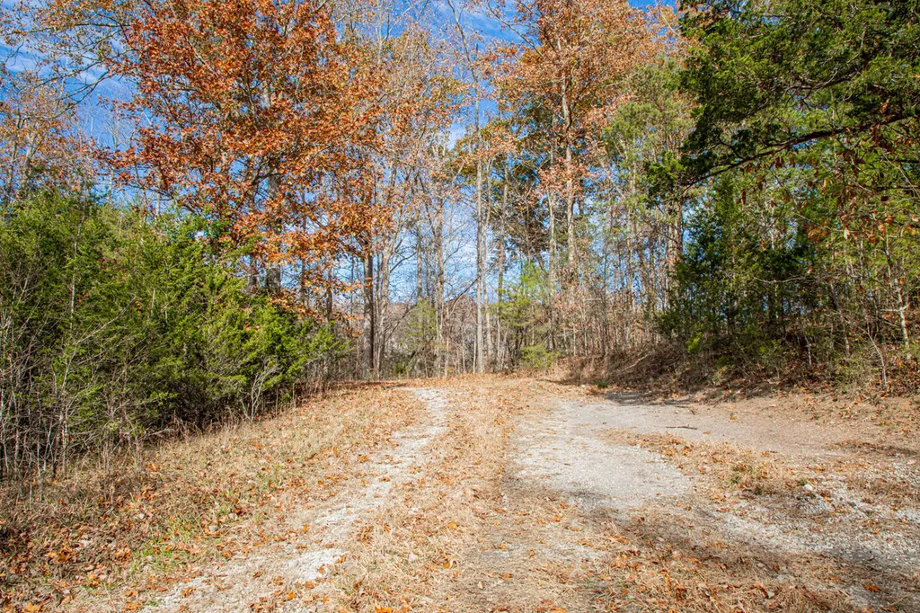 8201 Ky-92 Monticello KY 42633