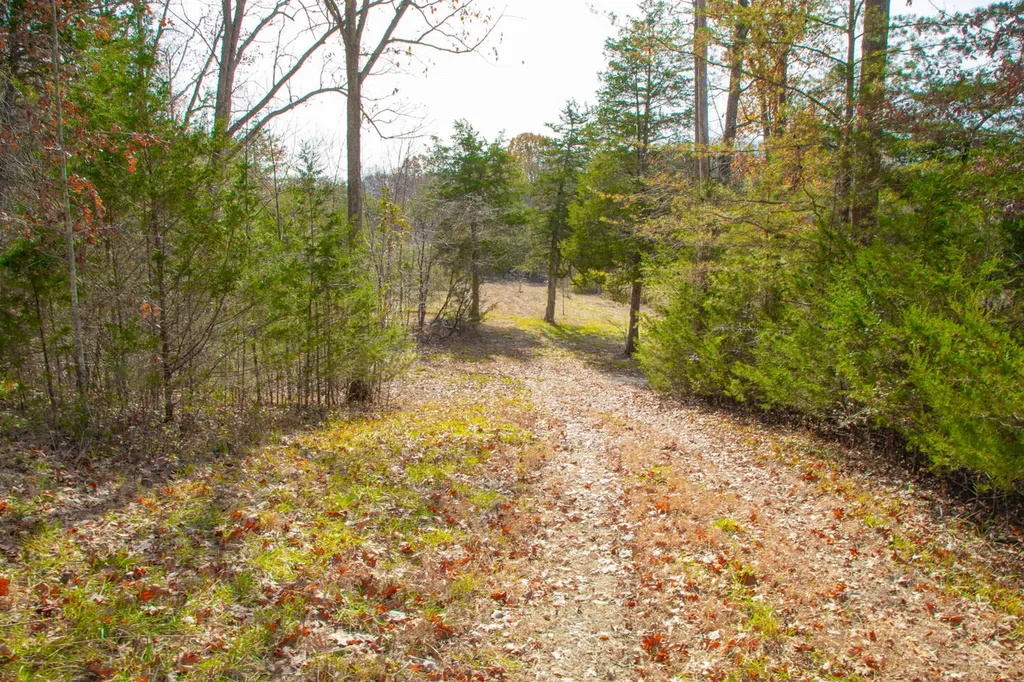 8201 Ky-92 Monticello KY 42633