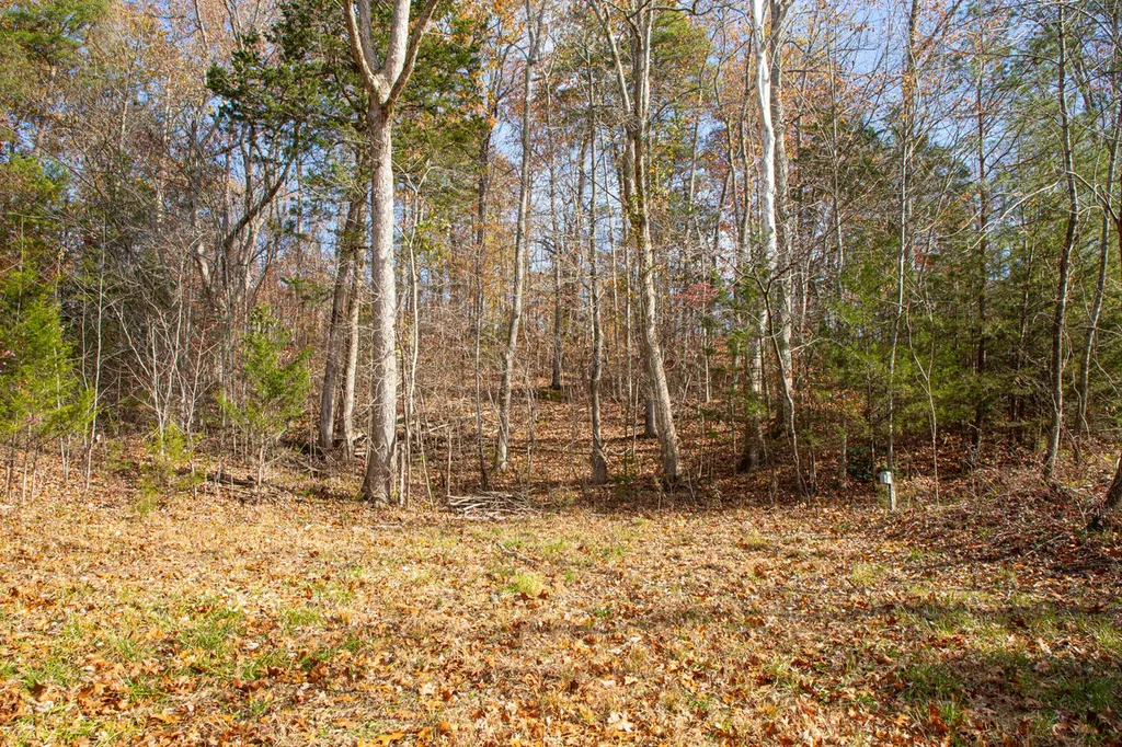 8201 Ky-92 Monticello KY 42633